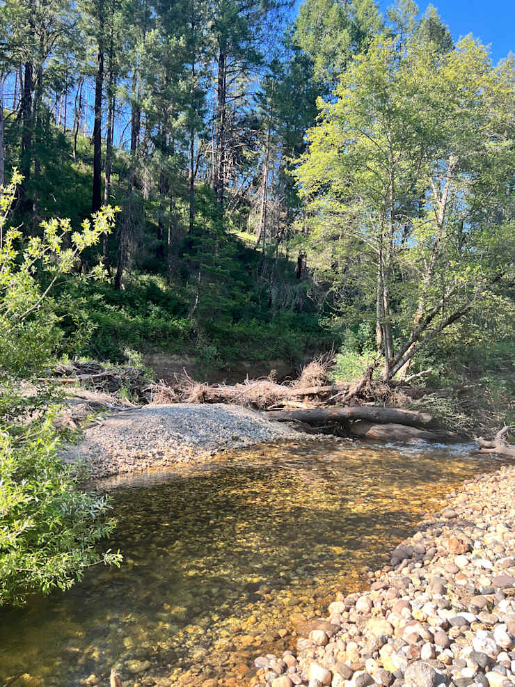 Along the creek